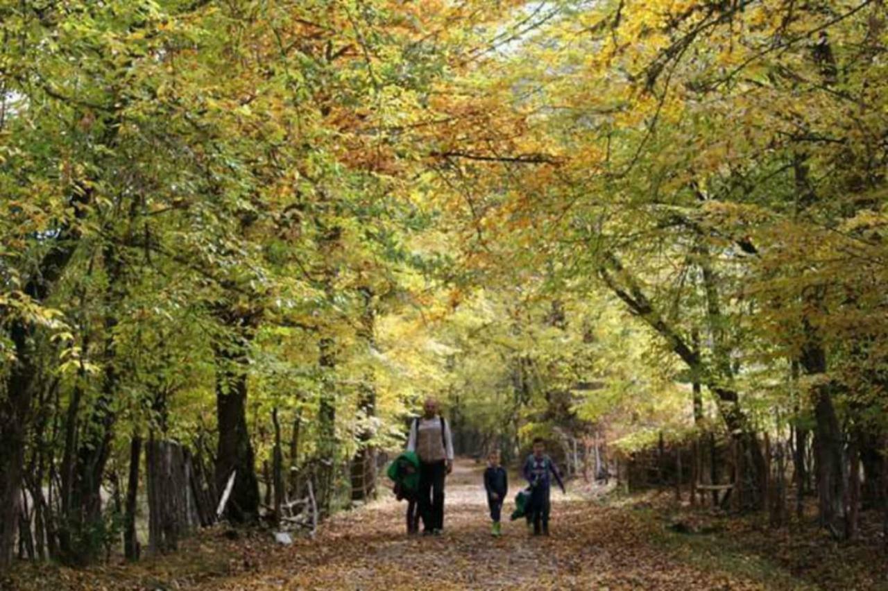 Seoski Turizam Zilicina Rogatica Exterior photo